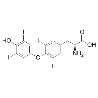 L-Thyroxine