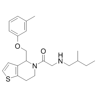 RU-SKI 43