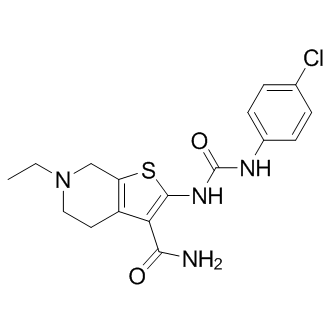 PROTO-1