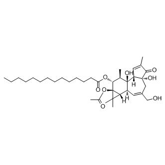 Phorbol 12-myristate 13-acetate