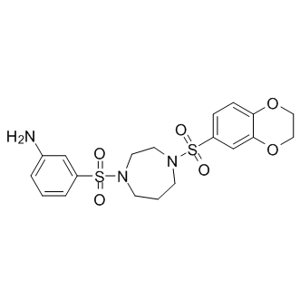 DASA-58