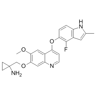 Anlotinib