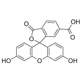 6-FAM