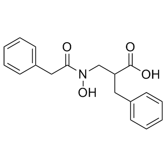 CPA-IN-5