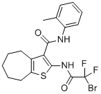 TMinh-23