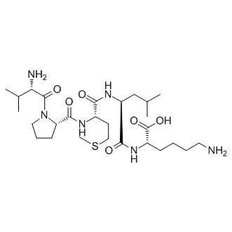 Bax inhibitor peptide V5