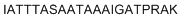 PDHPS1