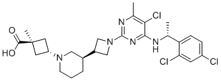 RPT193