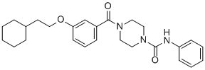 TEAD inhibitor TM2