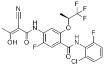 DHODH inhibitor M62