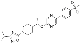 GSK 2041706