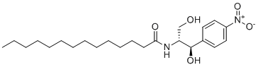 NMT1 inhibitor B13