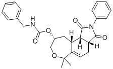 Wntepane 1