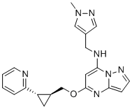 PyP-1