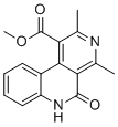 BNC-1