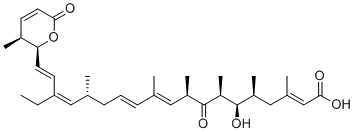 Leptomycin B