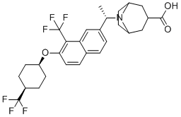 BIO-32546