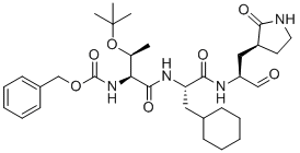 TG-0205221