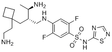 SSCI-2