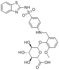 IMA-1