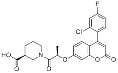 IMT1B