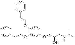p62-ZZ ligand YOK-2204