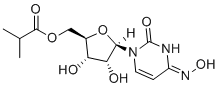 Molnupiravir